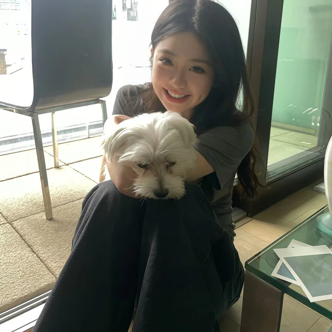 春风杨柳